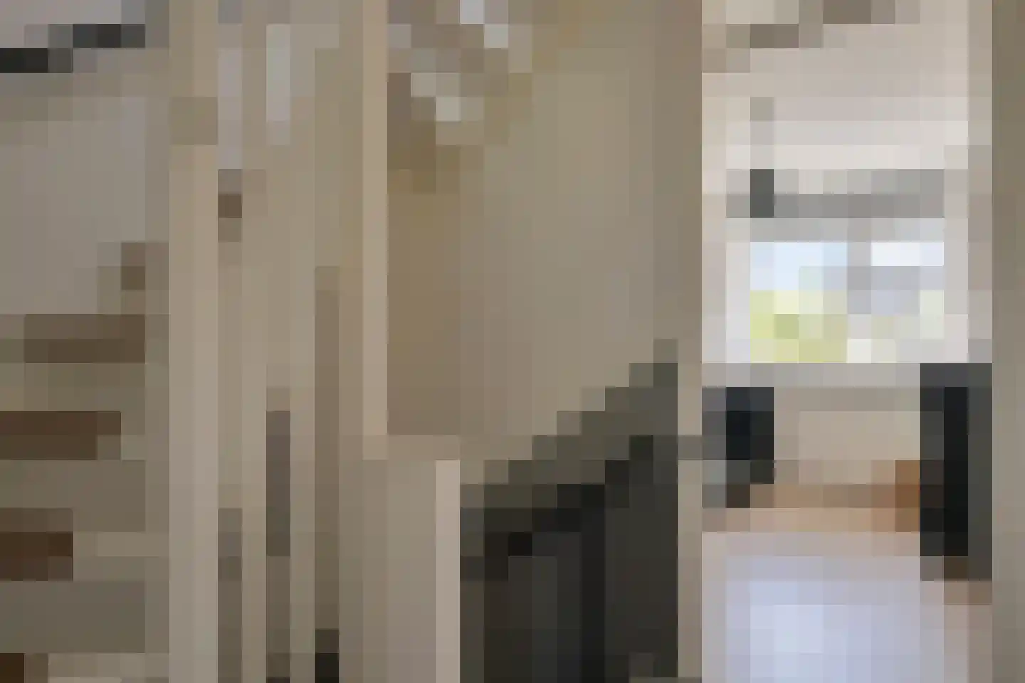 Larixlaan 8 Zwolle thumbnail 18