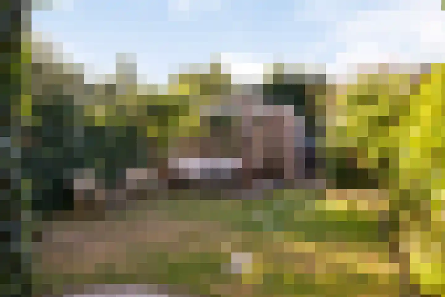 Larixlaan 8 Zwolle thumbnail 27