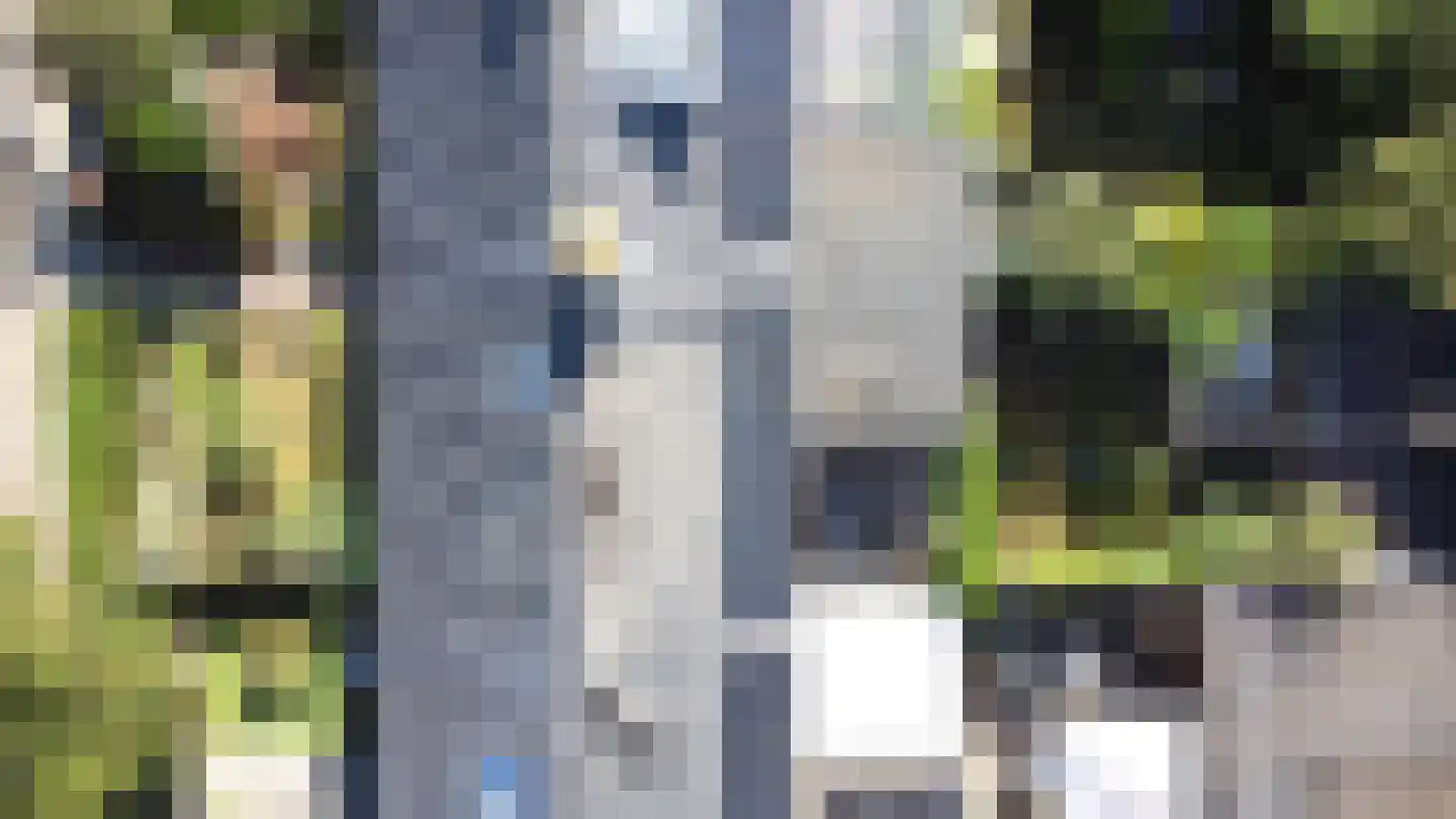 Larixlaan 8 Zwolle thumbnail 33