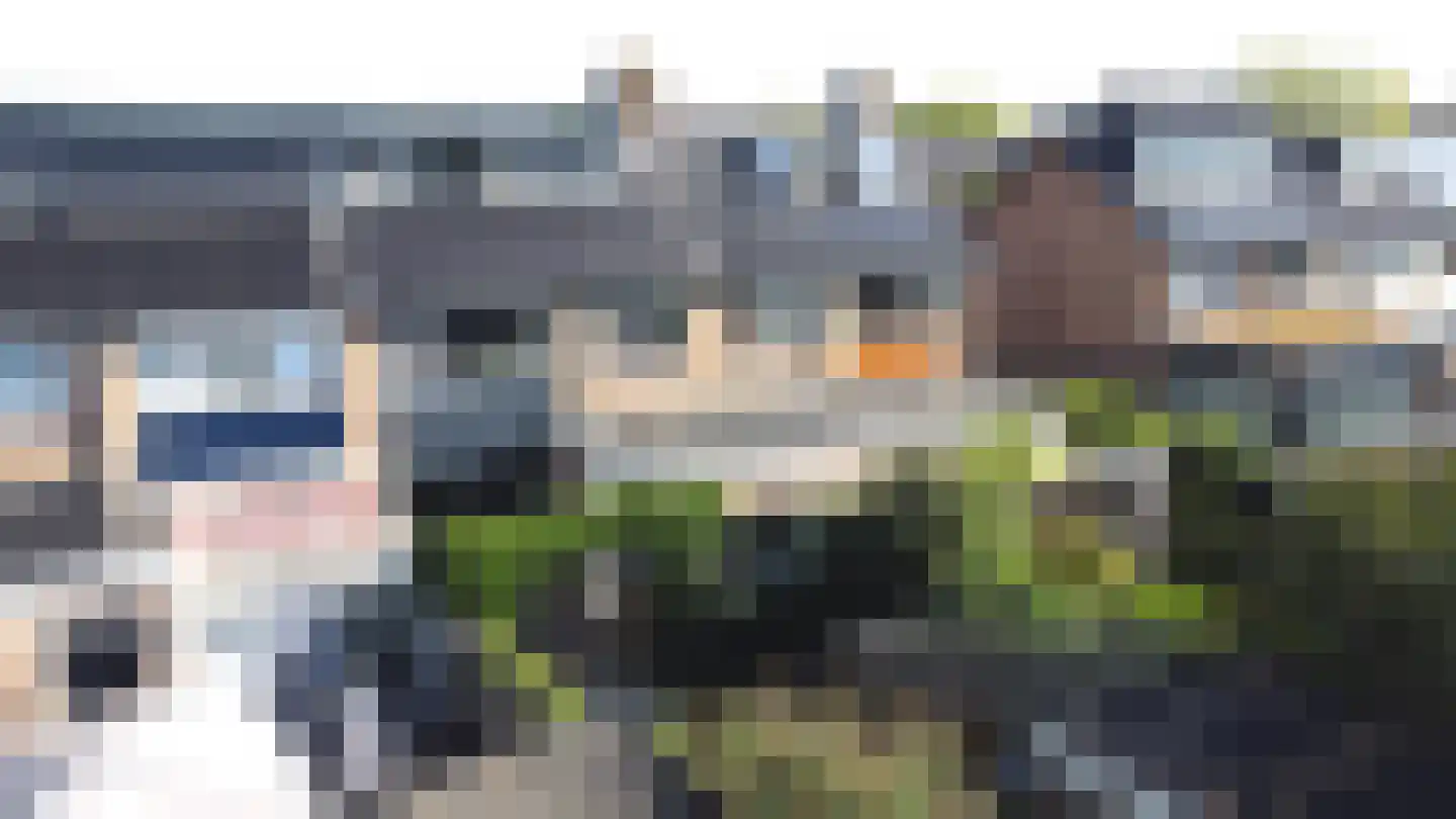 Larixlaan 8 Zwolle thumbnail 38