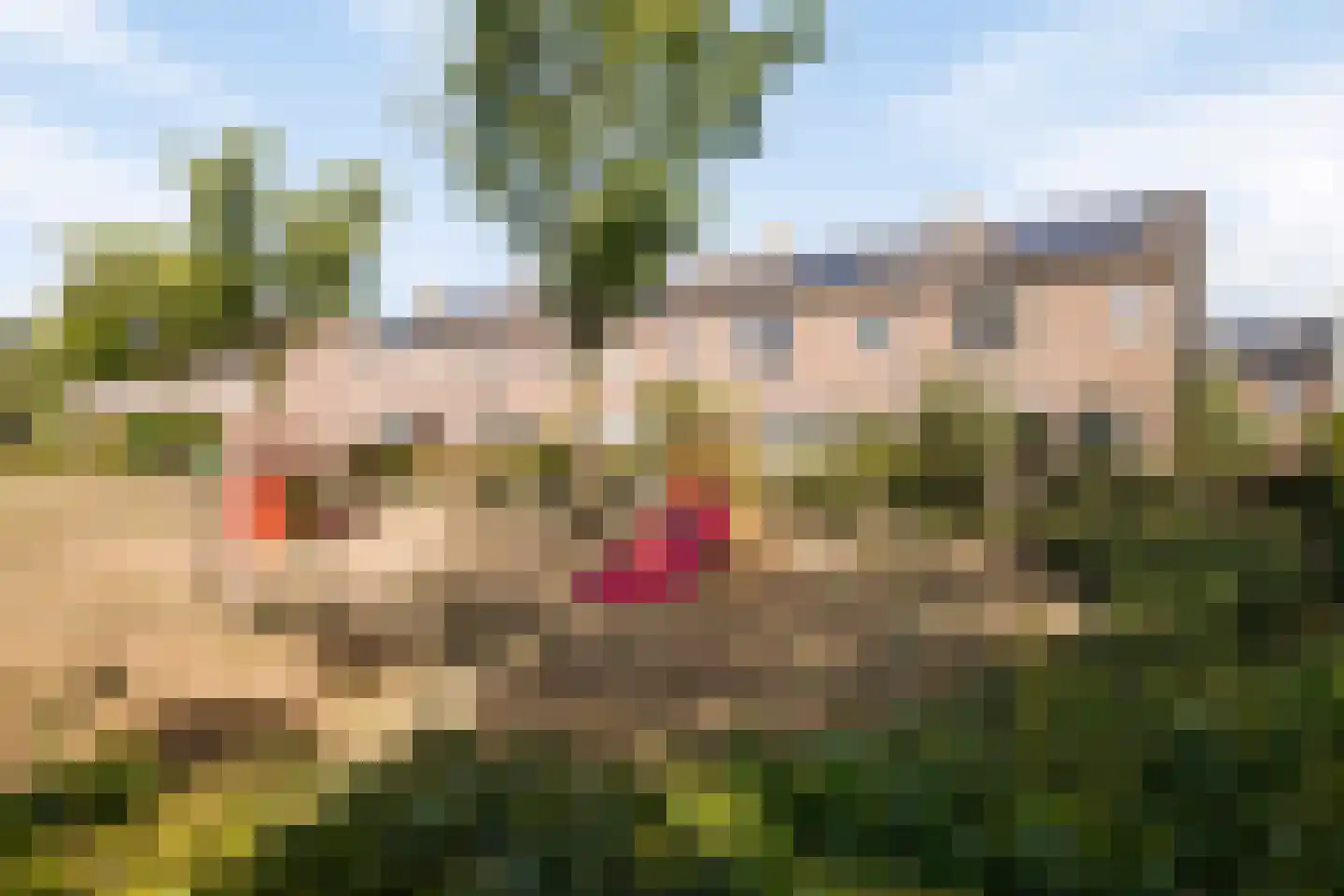 Larixlaan 8 Zwolle thumbnail 39