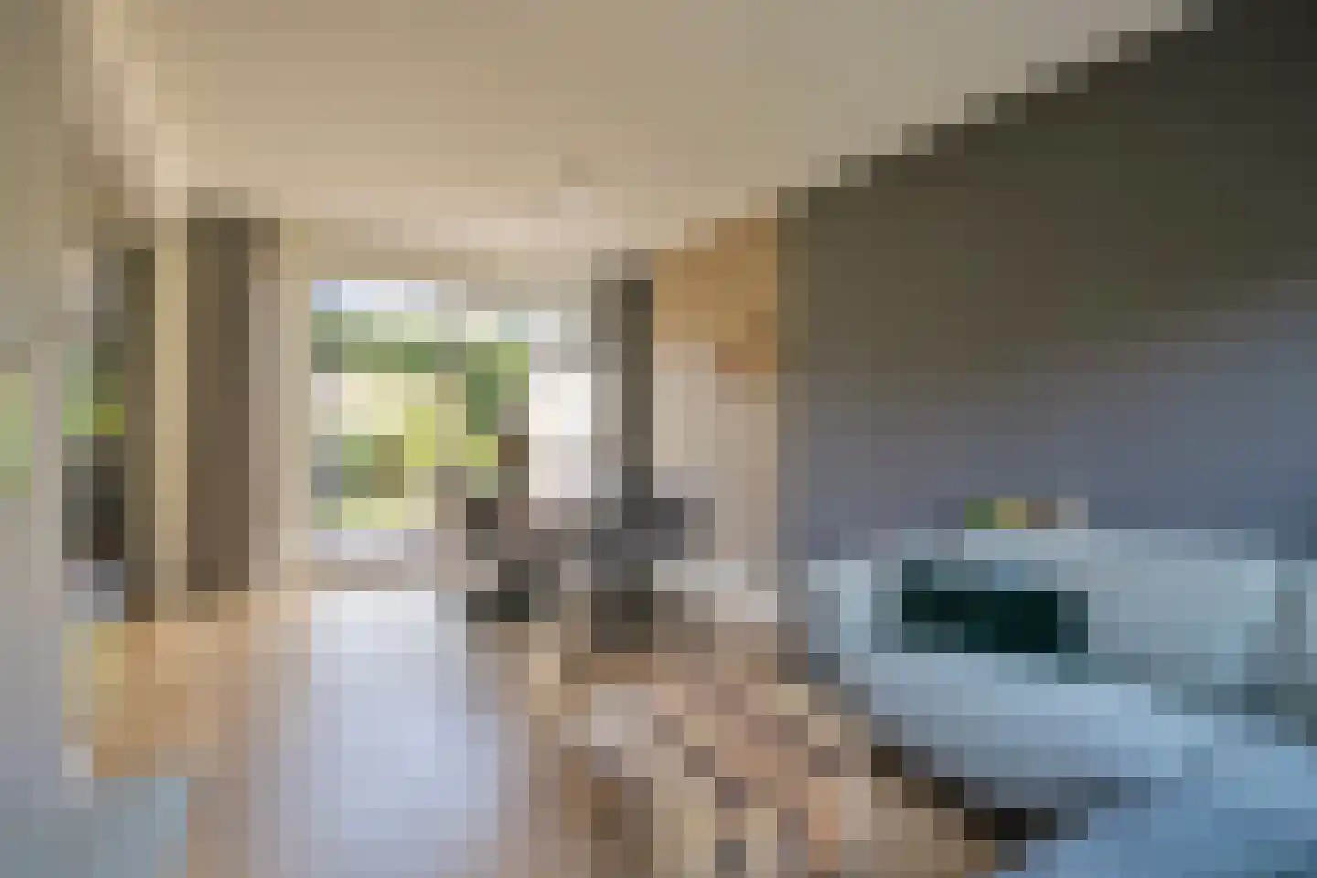 Larixlaan 8 Zwolle thumbnail 4