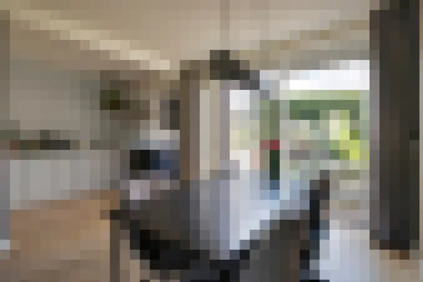 Larixlaan 8 Zwolle thumbnail 6