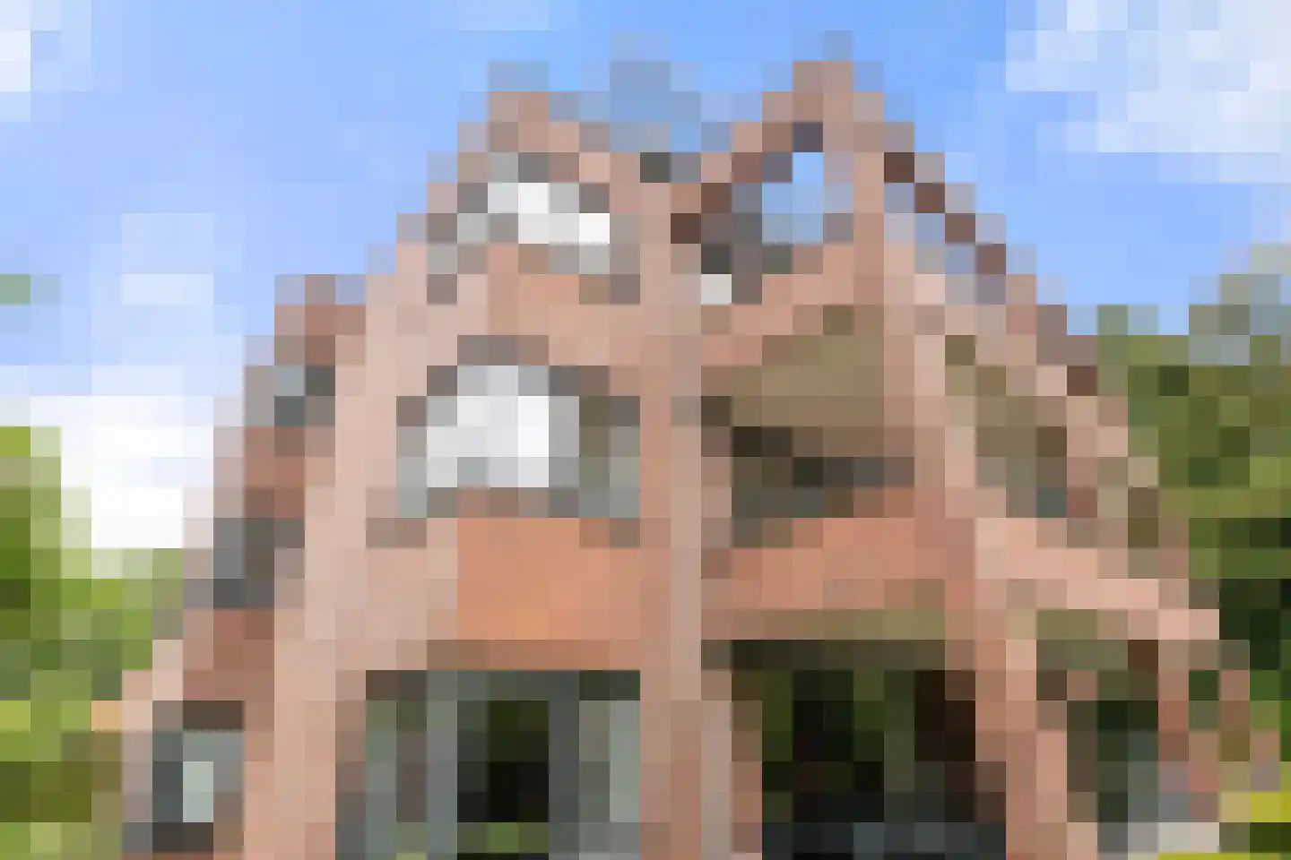 Larixlaan 9 4 Ede thumbnail 37