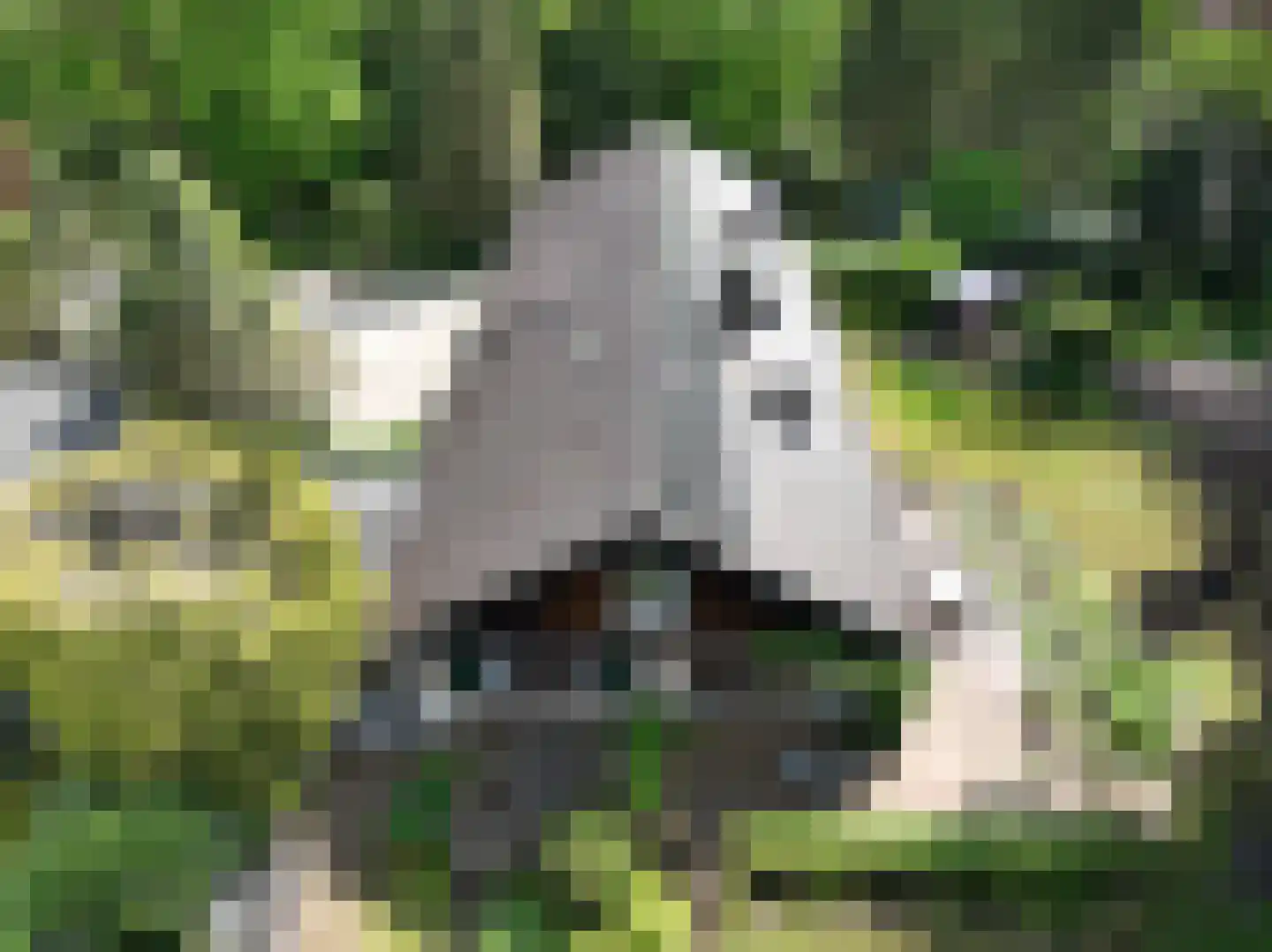 Larixlaan 9 Soest thumbnail 28