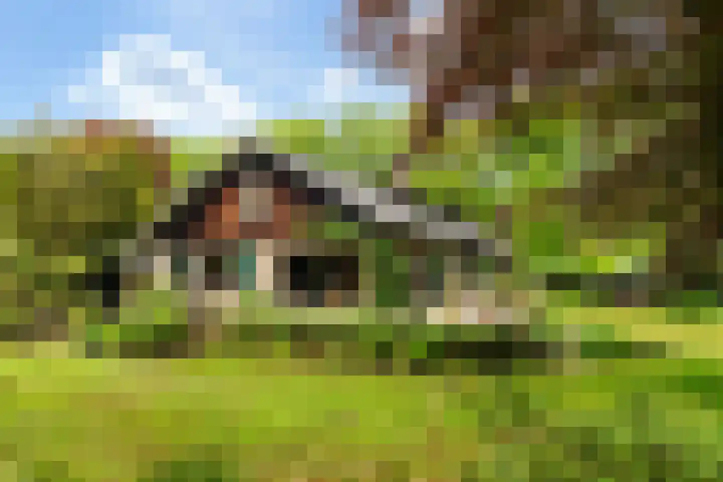 Larixlaan 9 Soest thumbnail 29