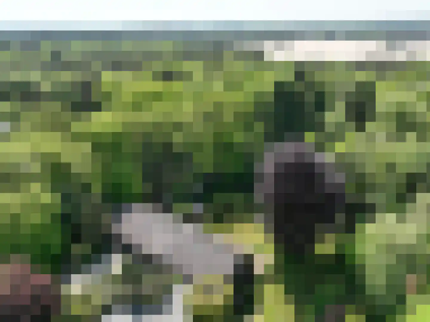 Larixlaan 9 Soest thumbnail 34