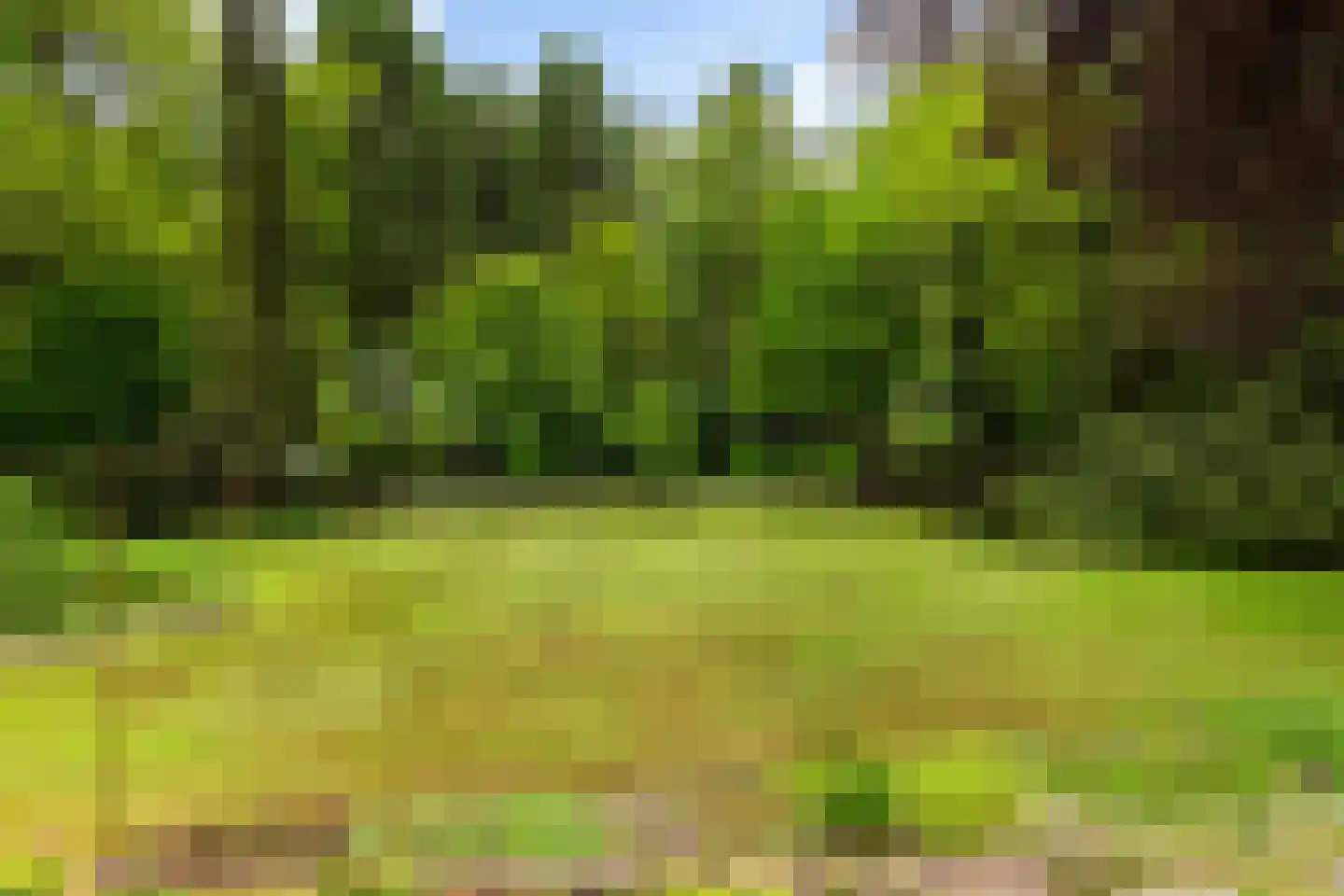 Larixlaan 9 Soest thumbnail 36