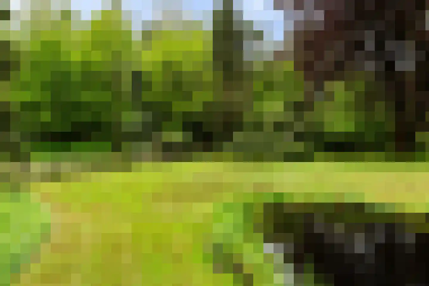 Larixlaan 9 Soest thumbnail 37