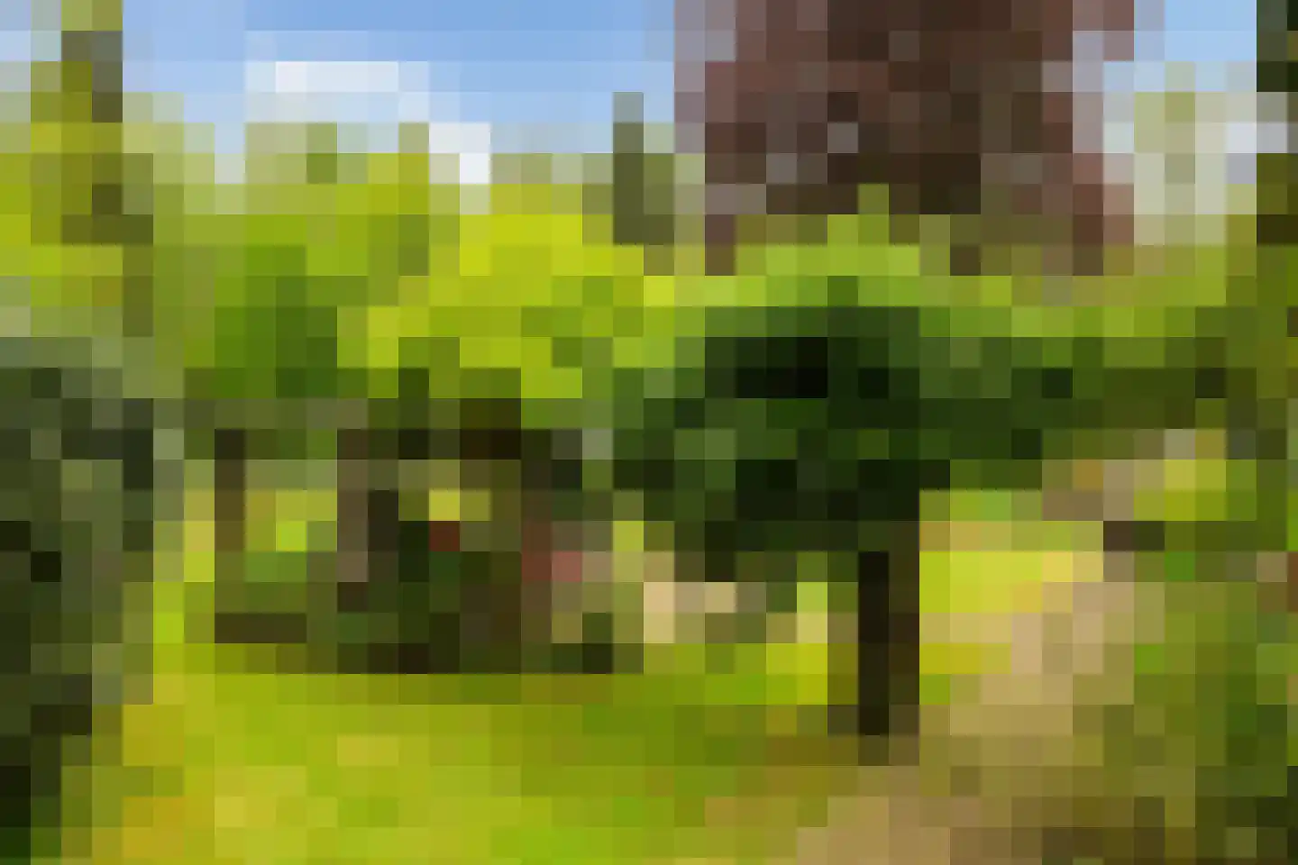 Larixlaan 9 Soest thumbnail 38