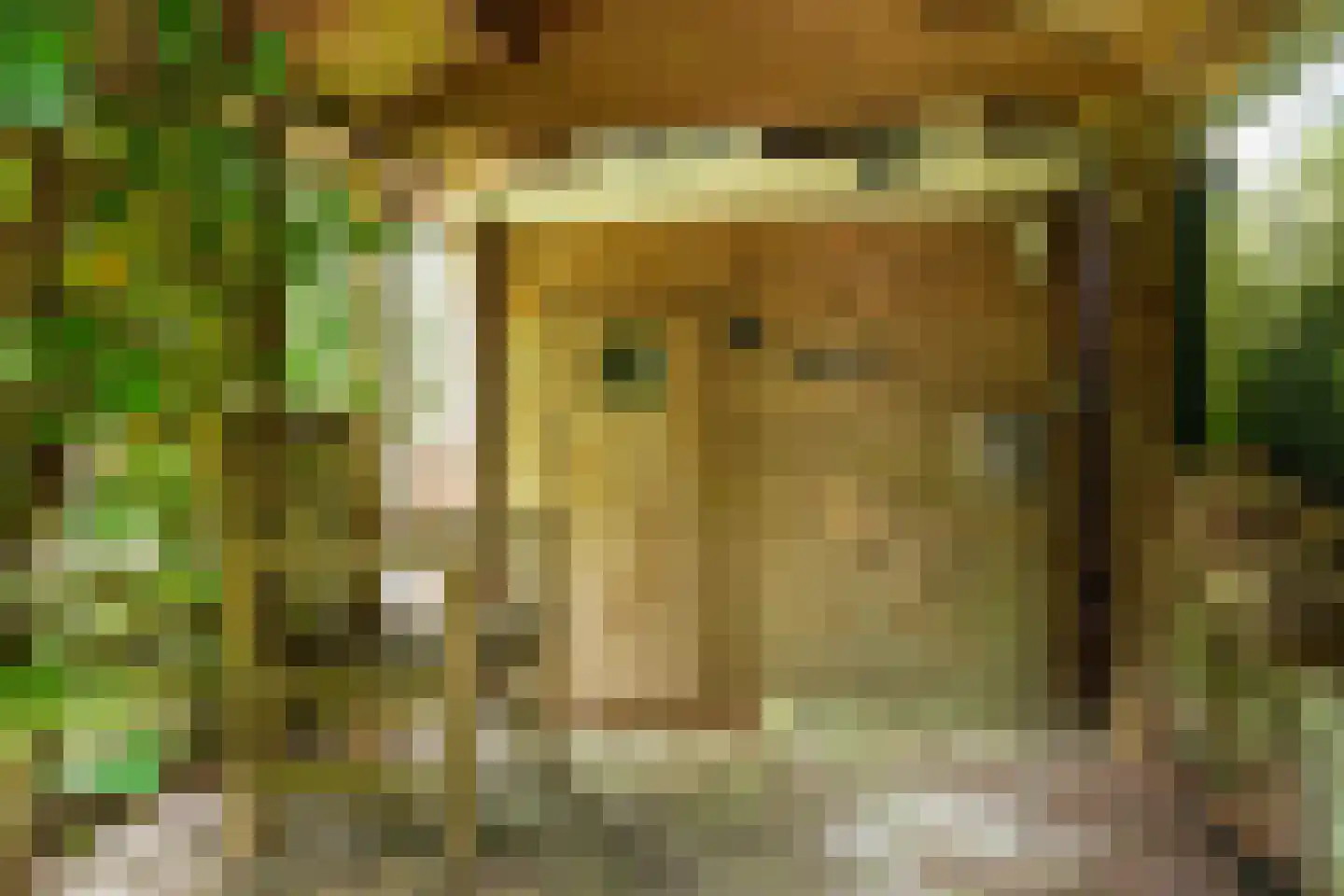 Larixlaan 9 Soest thumbnail 39
