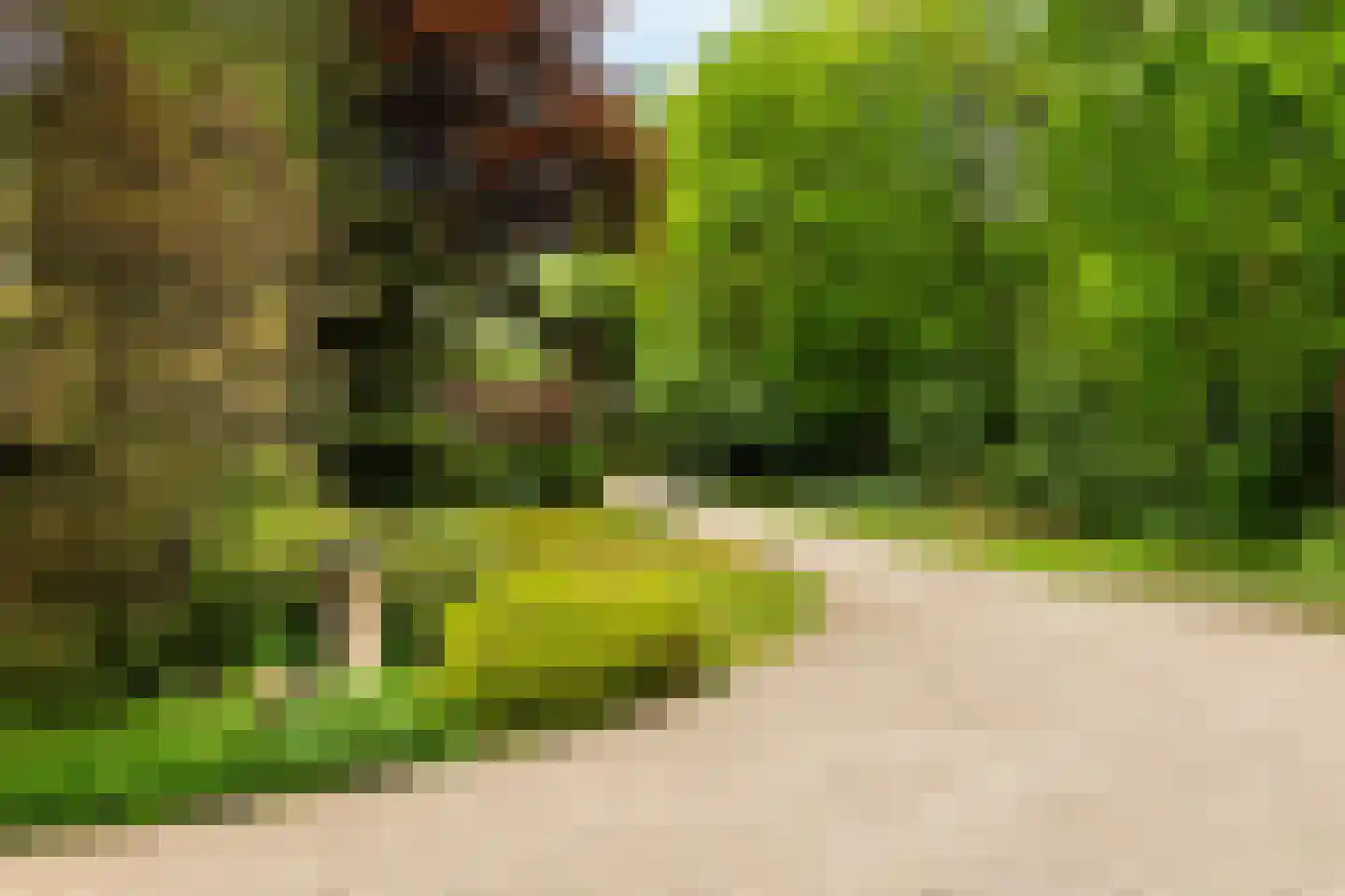 Larixlaan 9 Soest thumbnail 41