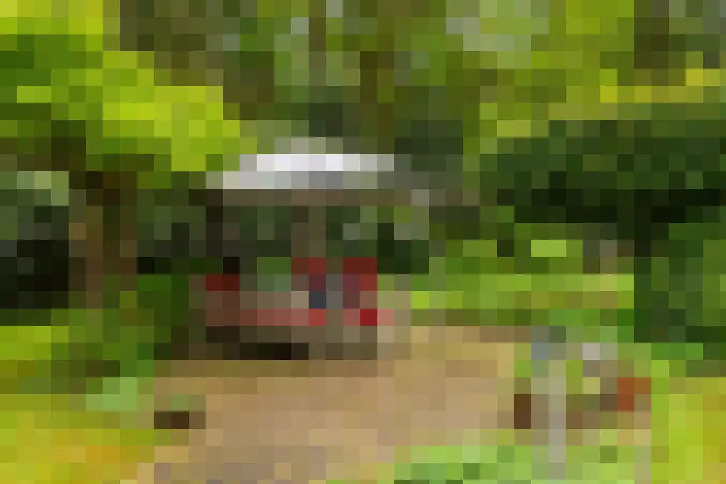 Larixlaan 9 Soest thumbnail 5