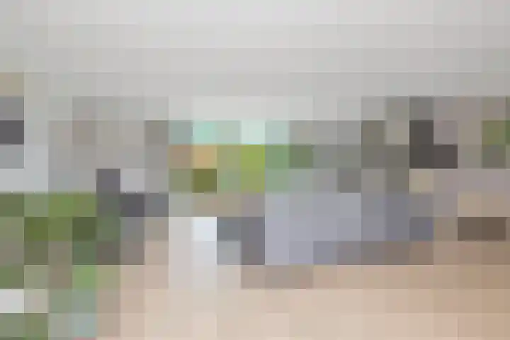 Larixplantsoen 100 Heerhugowaard thumbnail 10