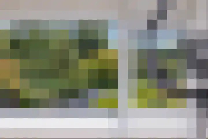 Larixplantsoen 100 Heerhugowaard thumbnail 37