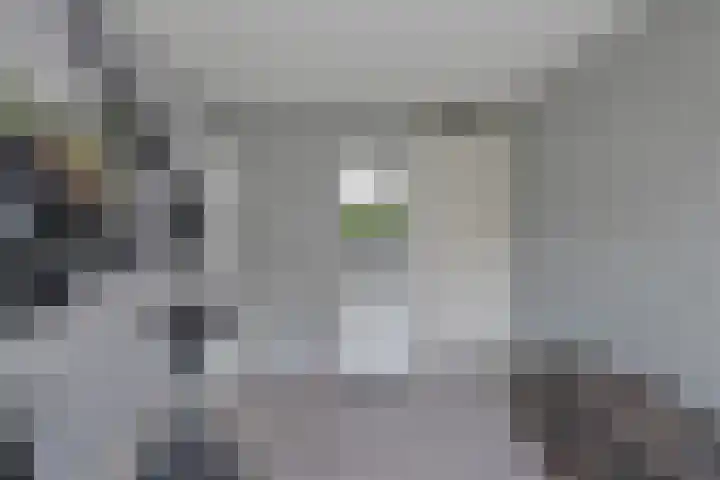 Larixplantsoen 100 Heerhugowaard thumbnail 38