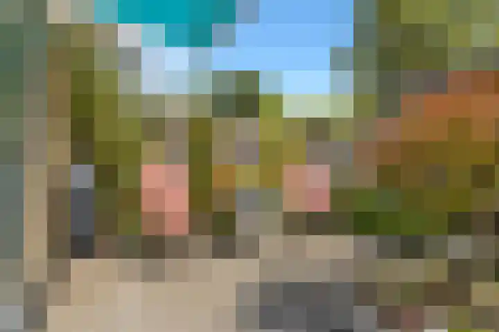 Larixplantsoen 100 Heerhugowaard thumbnail 51