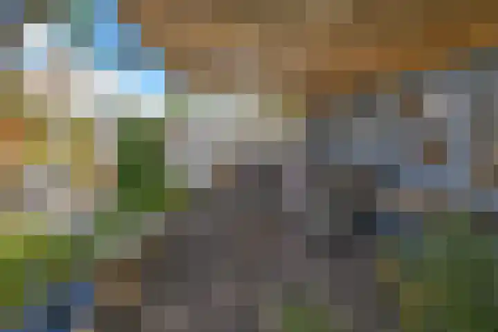 Larixplantsoen 100 Heerhugowaard thumbnail 53