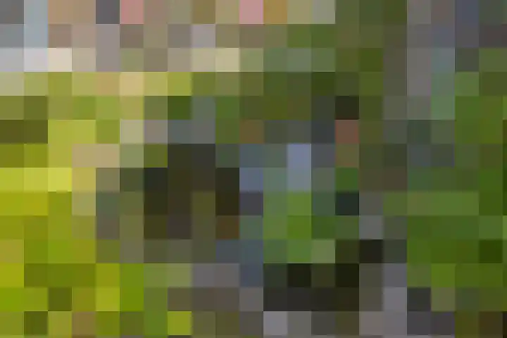 Larixplantsoen 100 Heerhugowaard thumbnail 54