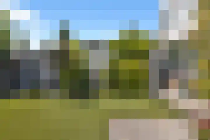 Larixplantsoen 100 Heerhugowaard thumbnail 58