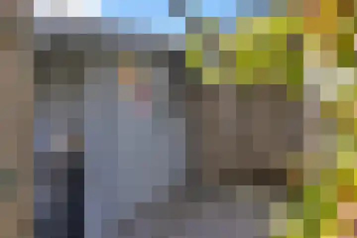 Larixplantsoen 100 Heerhugowaard thumbnail 59