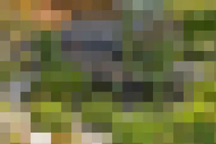 Larixplantsoen 100 Heerhugowaard thumbnail 61