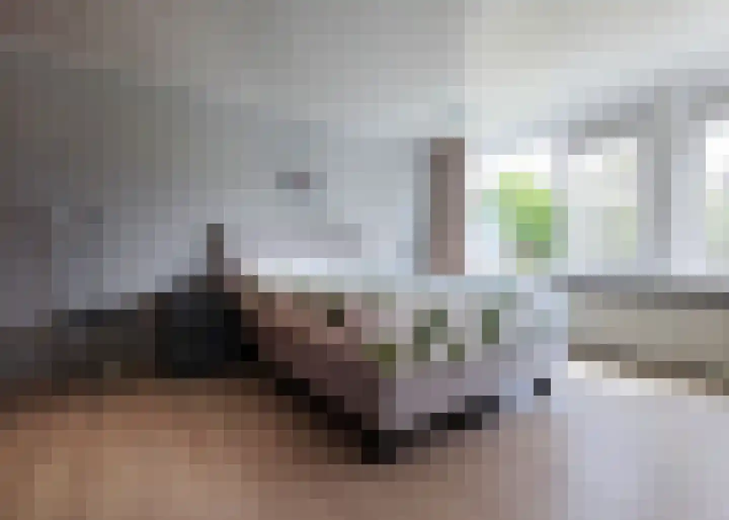 Larixplantsoen 11 Heerhugowaard thumbnail 16