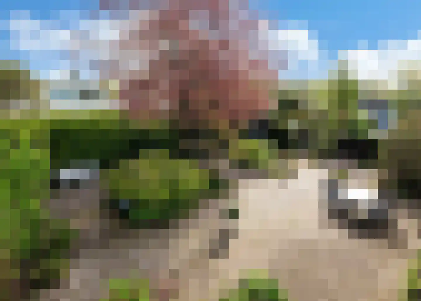 Larixplantsoen 11 Heerhugowaard thumbnail 24