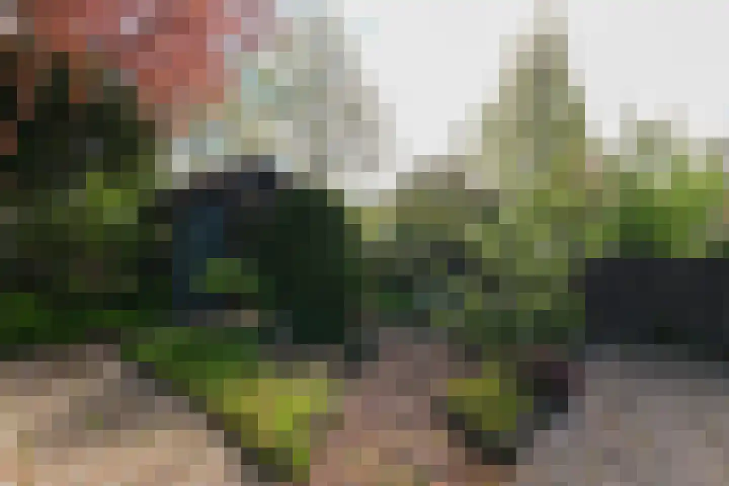 Larixplantsoen 11 Heerhugowaard thumbnail 31