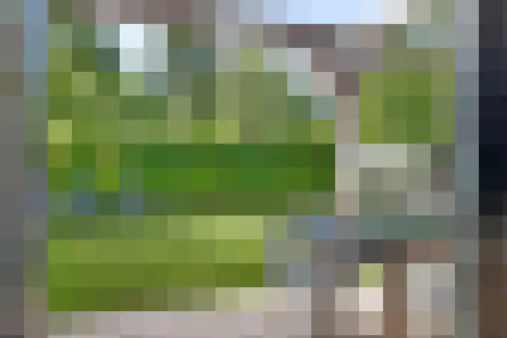 Larixplantsoen 110 Heerhugowaard thumbnail 12
