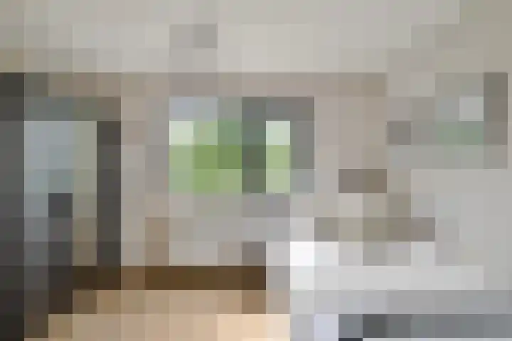 Larixplantsoen 110 Heerhugowaard thumbnail 25