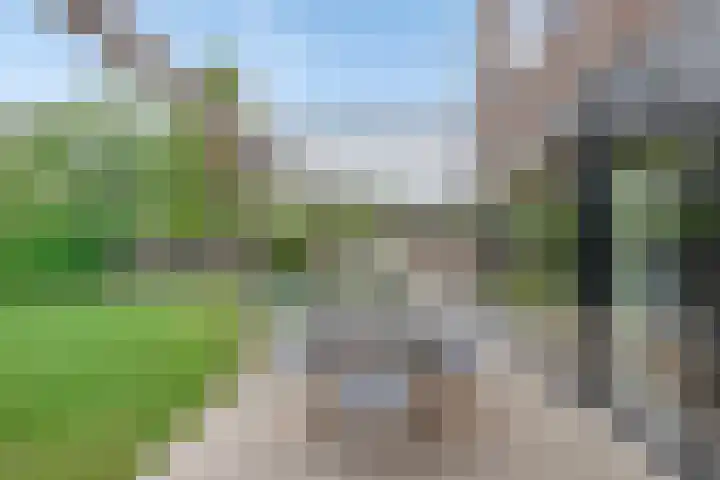 Larixplantsoen 110 Heerhugowaard thumbnail 36