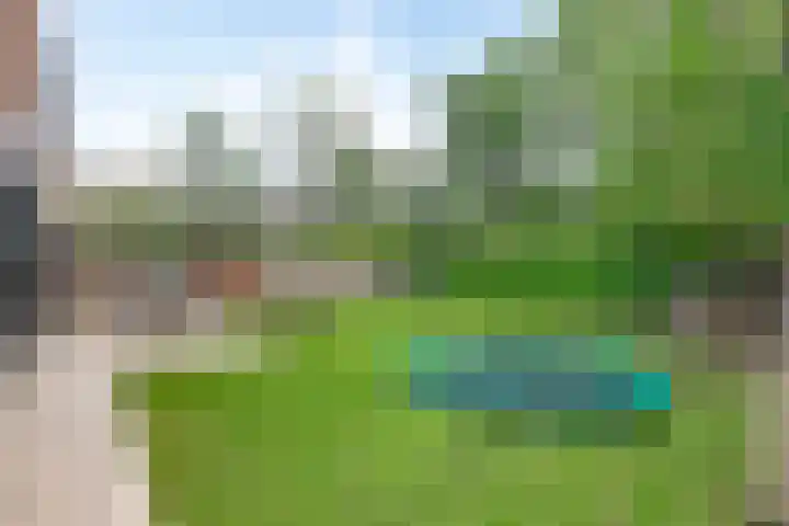 Larixplantsoen 110 Heerhugowaard thumbnail 39
