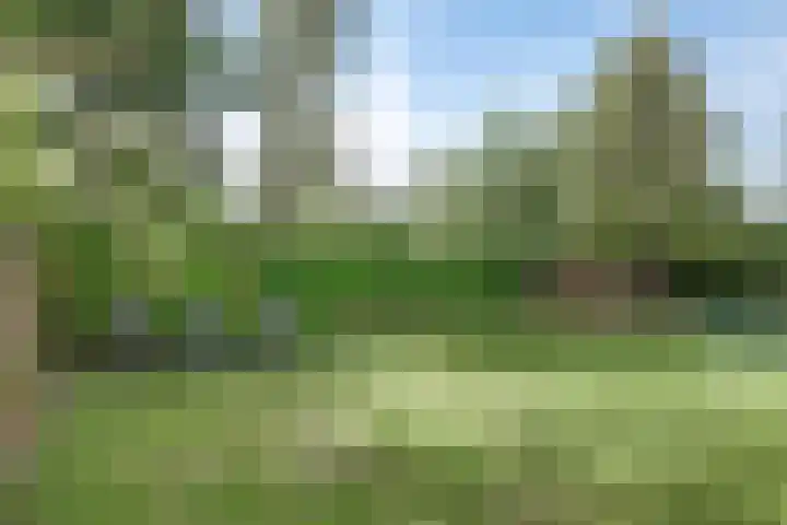 Larixplantsoen 110 Heerhugowaard thumbnail 40