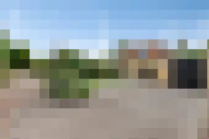 Larixplantsoen 110 Heerhugowaard thumbnail 43