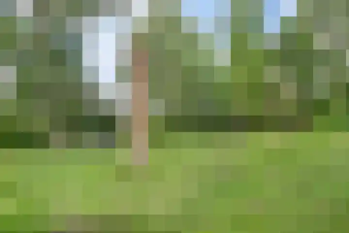 Larixplantsoen 110 Heerhugowaard thumbnail 45