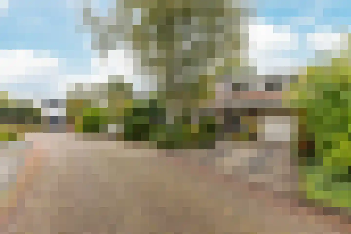 Larixplantsoen 30 Heerhugowaard thumbnail 32