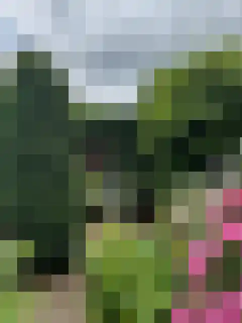 Larixplantsoen 30 Heerhugowaard thumbnail 34