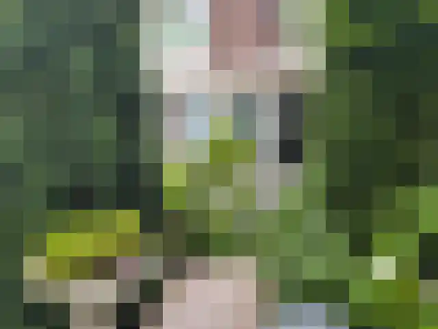 Larixplantsoen 30 Heerhugowaard thumbnail 35