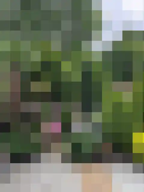 Larixplantsoen 30 Heerhugowaard thumbnail 36