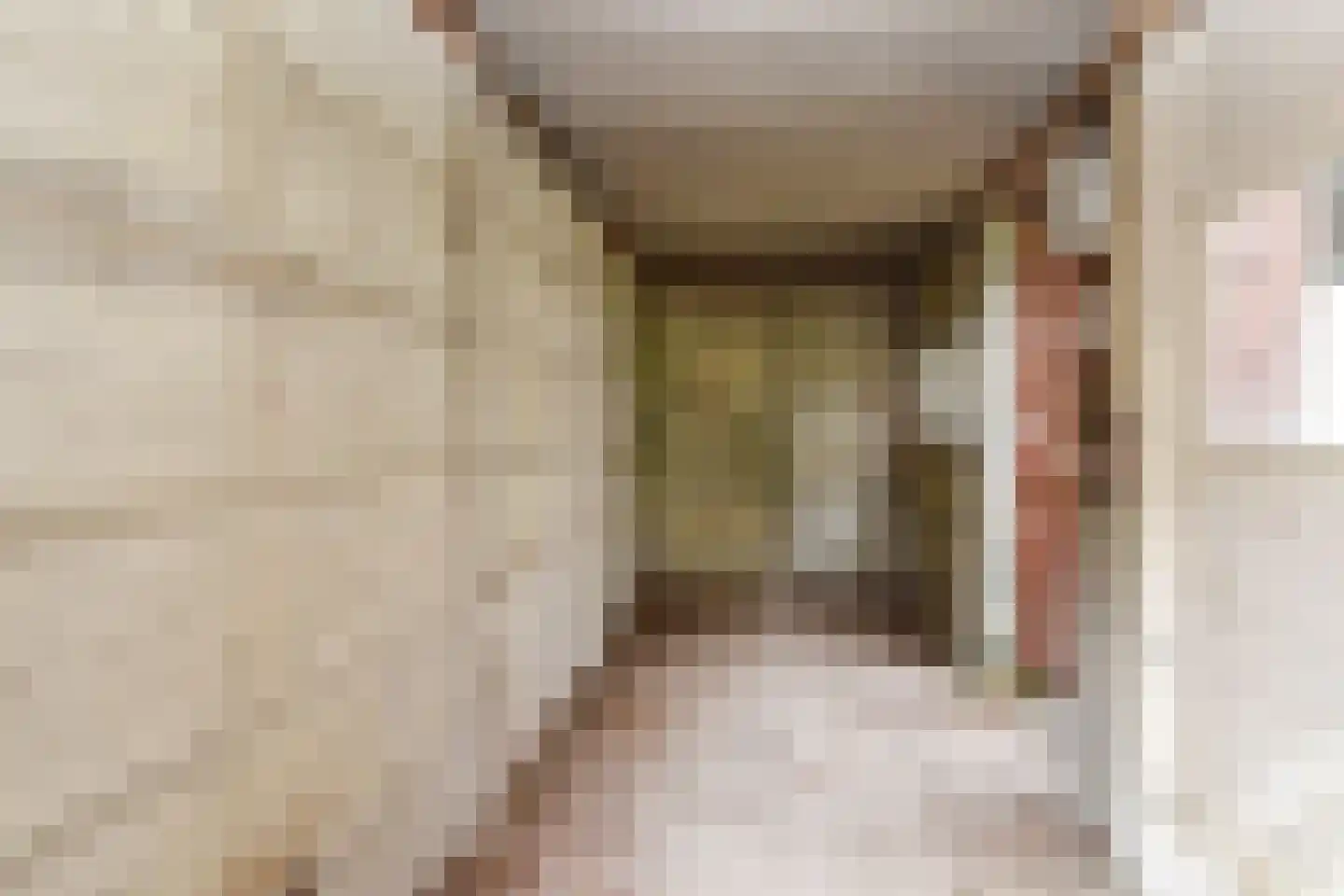 Larixstraat 20 Den Haag thumbnail 13