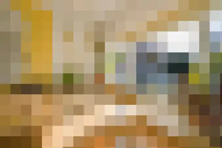 Larixstraat 26 Utrecht thumbnail 6