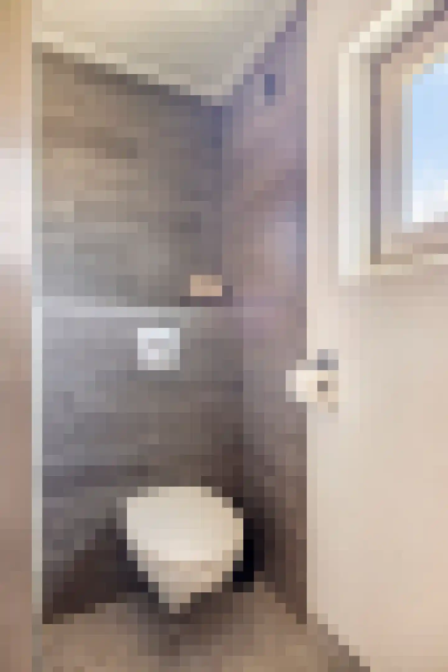 Larixstraat 4 Nijverdal thumbnail 21