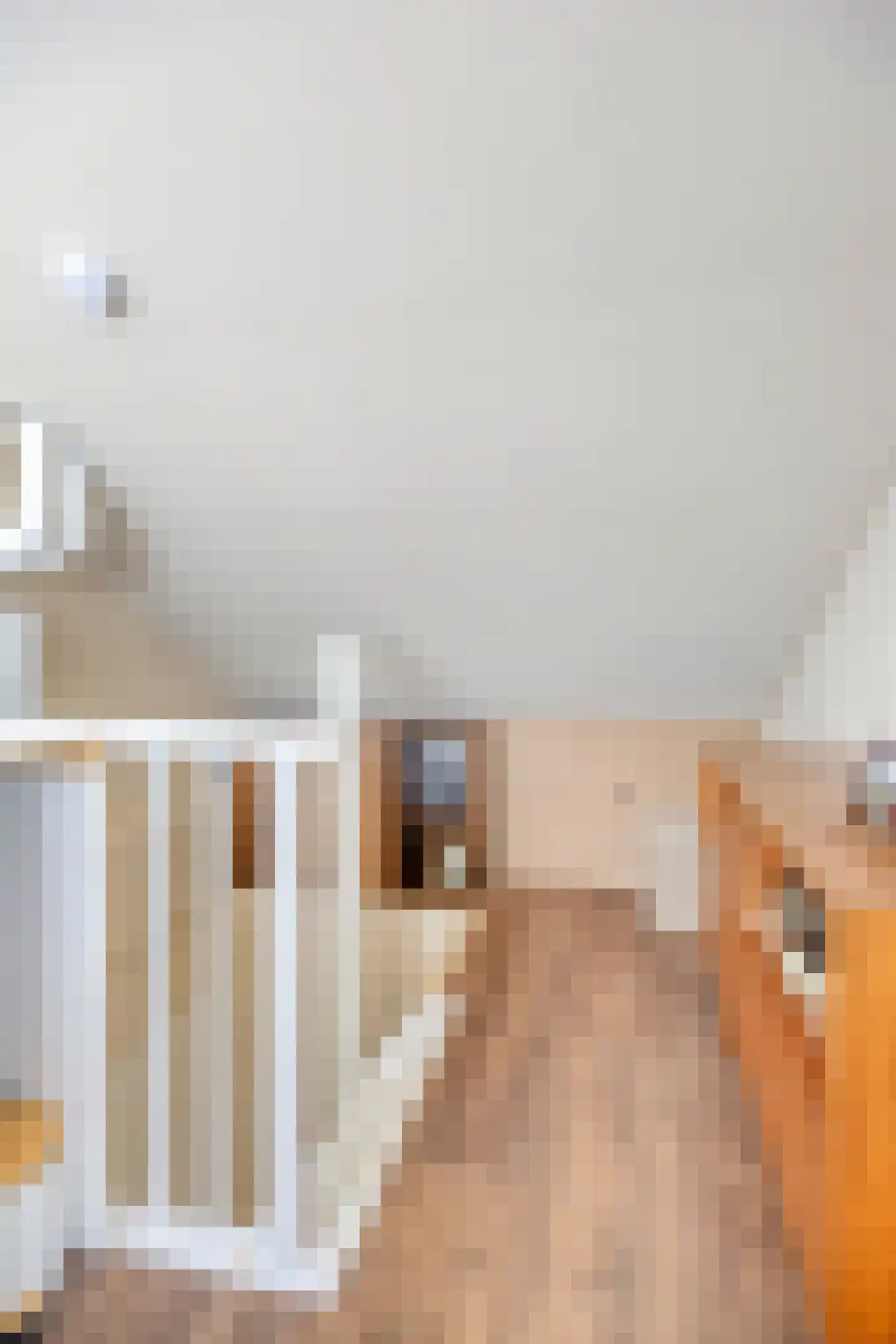 Larixstraat 4 Nijverdal thumbnail 23