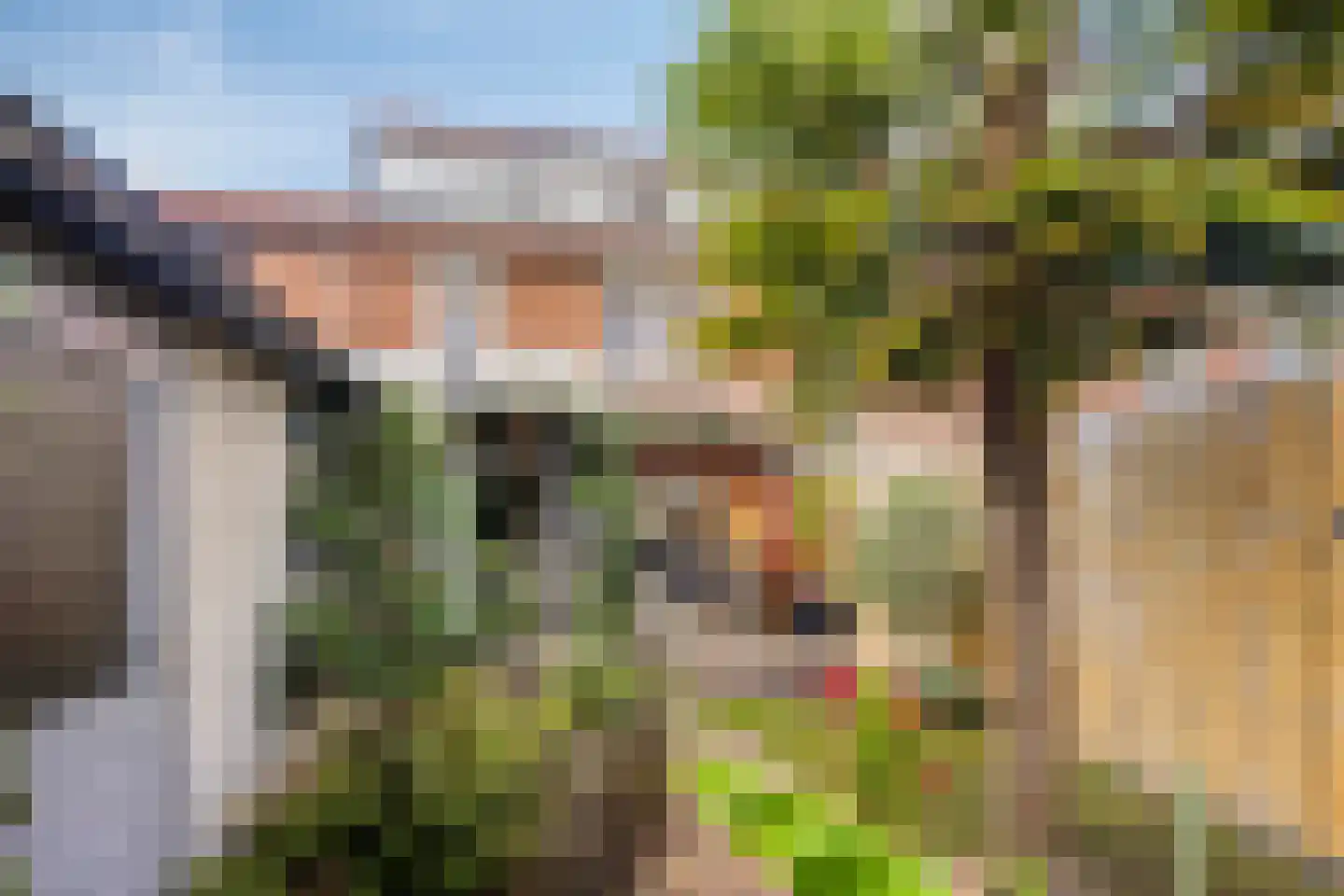 Larixstraat 4 Nijverdal thumbnail 29