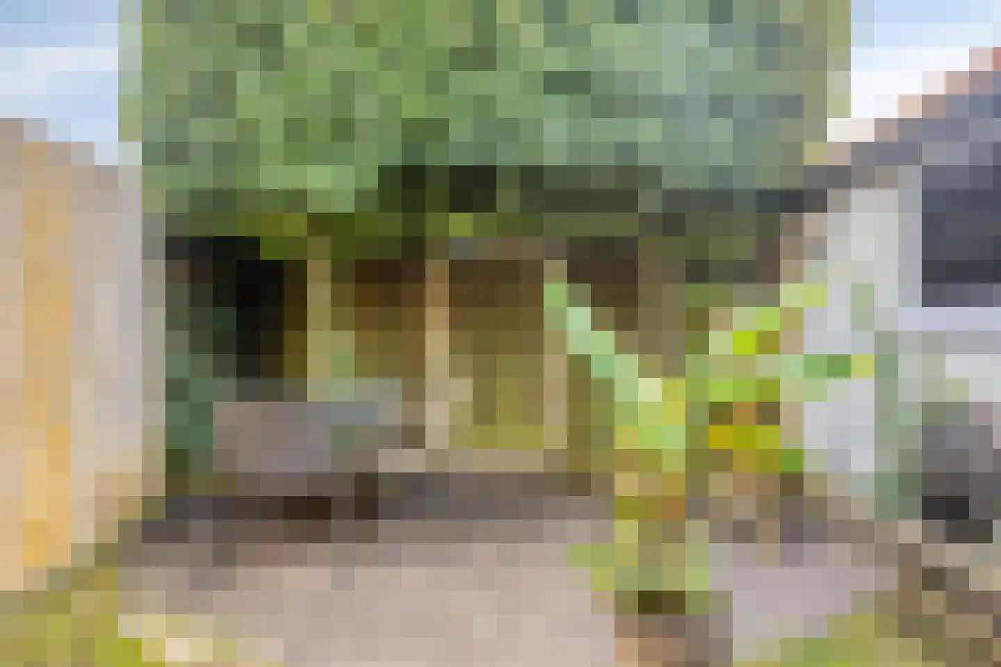 Larixstraat 4 Nijverdal thumbnail 30