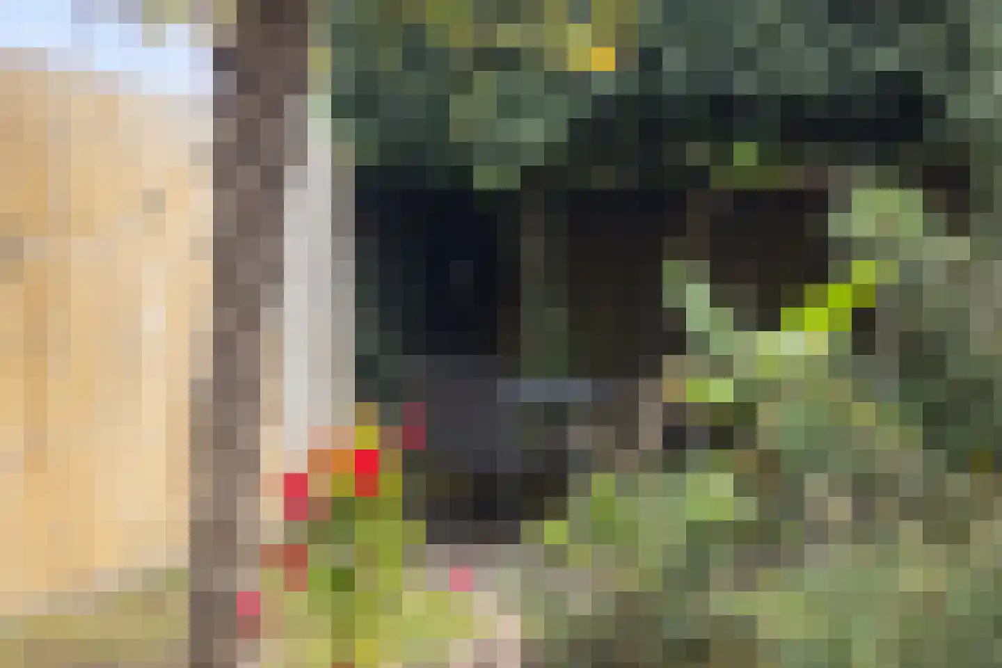 Larixstraat 4 Nijverdal thumbnail 31