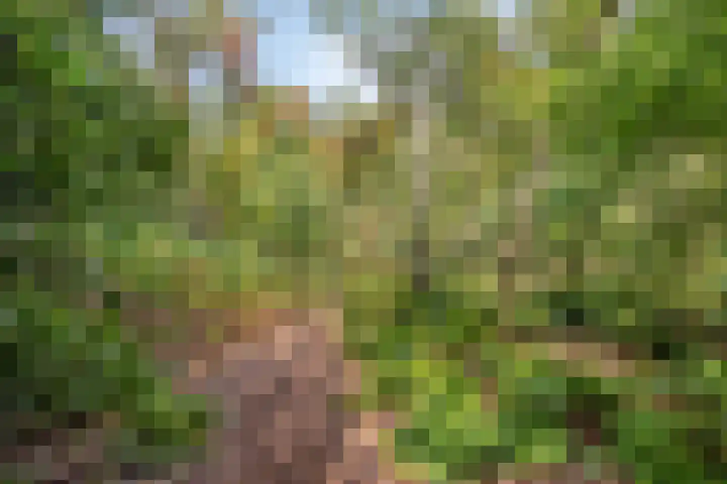 Larixstraat 4 Nijverdal thumbnail 37