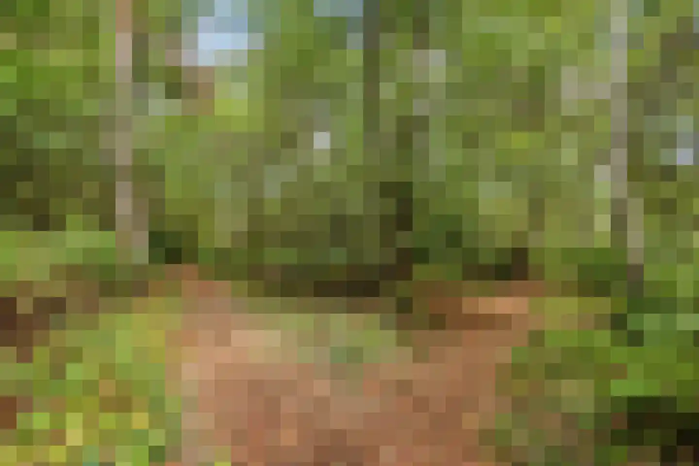 Larixstraat 4 Nijverdal thumbnail 38