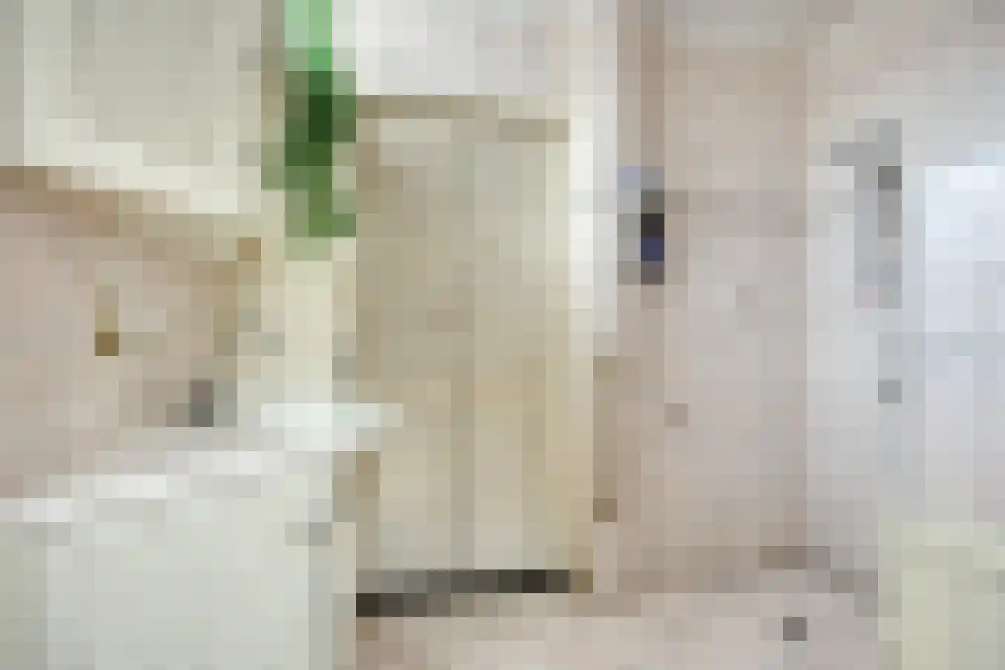 Larixstraat 40 Zwolle thumbnail 12
